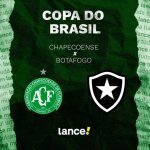 Possível pênalti em Chapecoense x Botafogo revolta torcedores